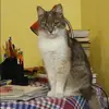 Отзыв от Кира Трифонова